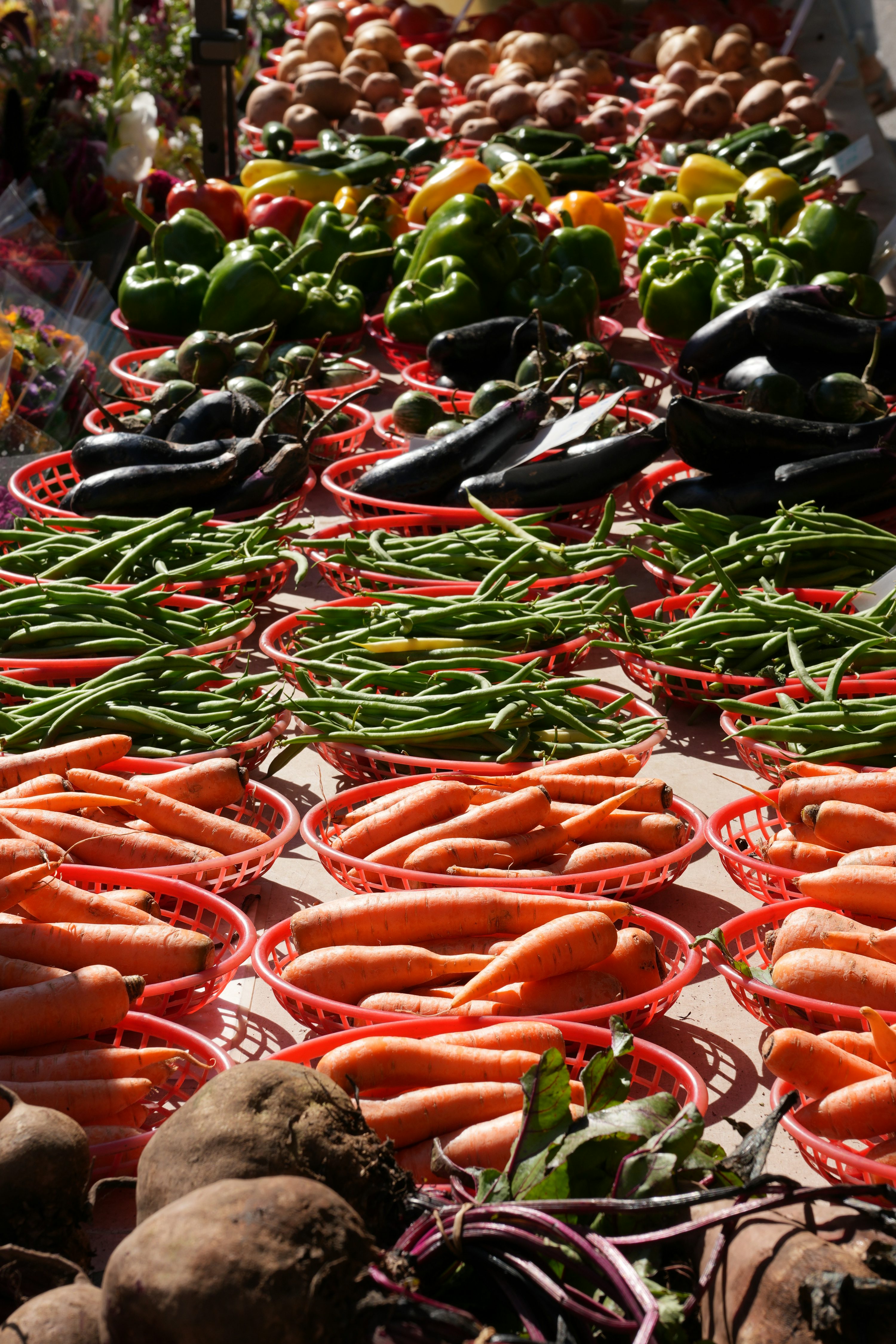 Fresh vegetables displayed at an outdoor market.